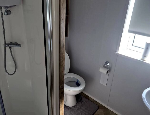 toilet1